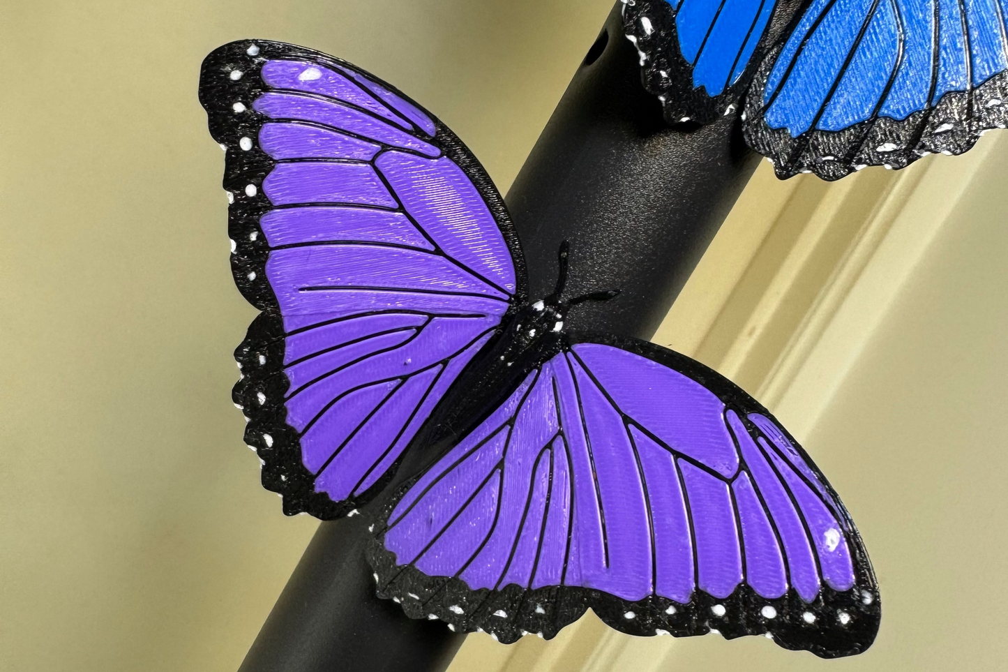 Butterfly Fridge Magnet