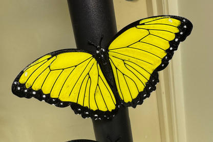Butterfly Fridge Magnet